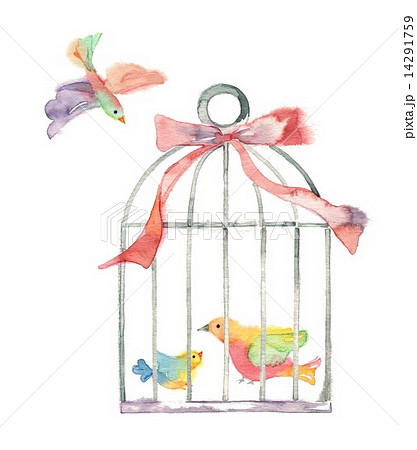 鳥籠 鳥かご 小鳥 手描きのイラスト素材