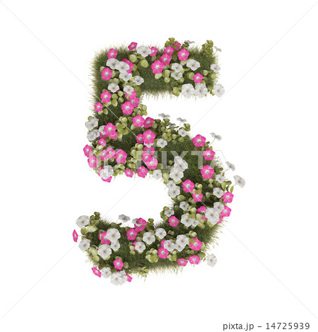 朝顔 花 数字 7のイラスト素材