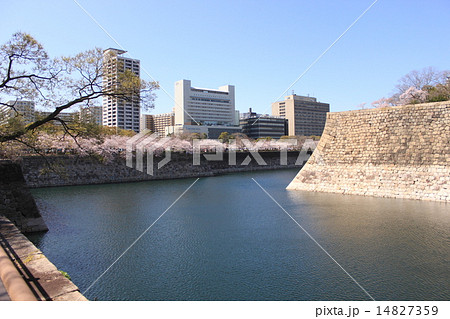 大阪城 堀 桜並木 大阪府の写真素材