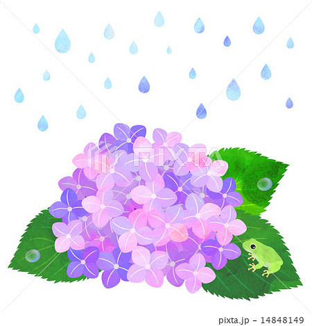かえる 梅雨 ６月 カエルのイラスト素材