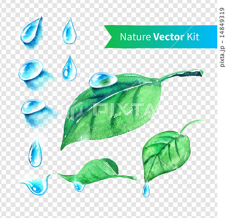 葉 水滴 水 雫 雫のイラスト素材