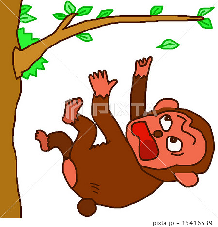 猿も木から落ちるのイラスト素材