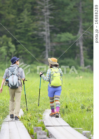 女性 リュックサック 背負う 後姿の写真素材