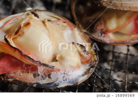 ホッキ貝 焼き貝 貝 バーベキューの写真素材