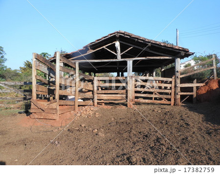 豚小屋 酪農 家畜 放牧の写真素材