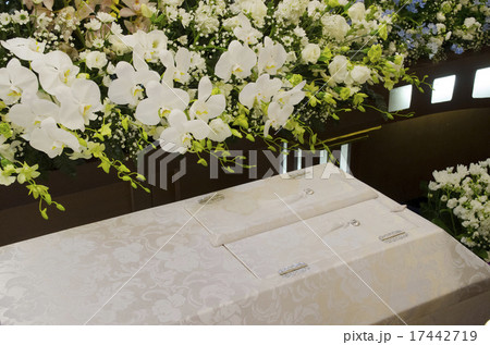 棺桶 お供え 葬式 棺 葬儀 生花 花束 花の写真素材