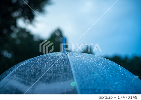 ビニール傘 雨 水滴の写真素材