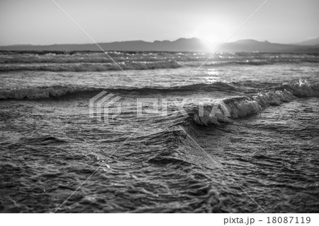 冬 モノクロ 白黒 夕方の写真素材