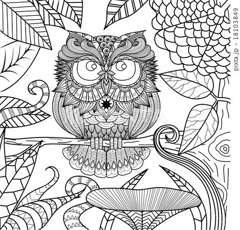 鳥 塗り絵 ふくろう フクロウのイラスト素材 Pixta