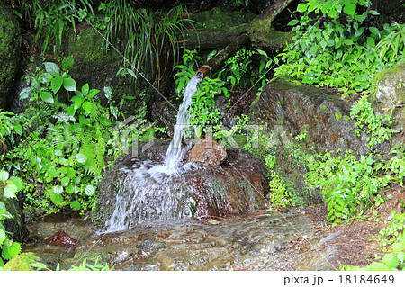 山 山中 飲料水 湧き水の写真素材