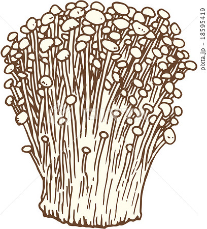 えのき茸のイラスト素材