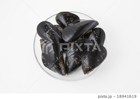 カラス貝 ムール貝の写真素材