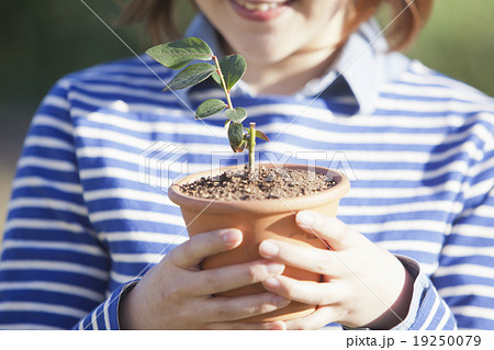 鉢植え 女性 植木鉢 ブルーベリーの写真素材