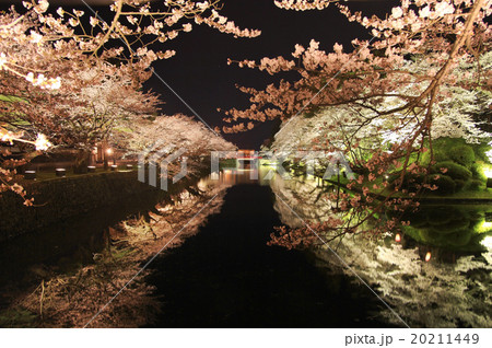 松が岬公園 桜 米沢市 お堀の写真素材