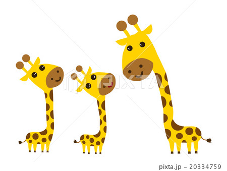 動物 キリン きりん 親子のイラスト素材