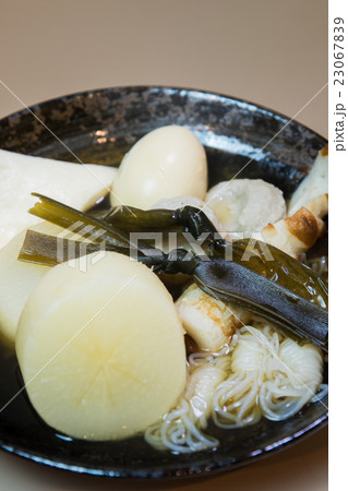 摘入