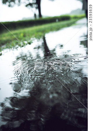 雨 水溜まり 波紋 公園の写真素材