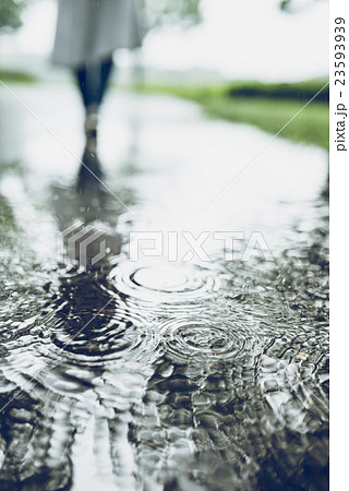公園 雨 水たまり 雨天 反射の写真素材