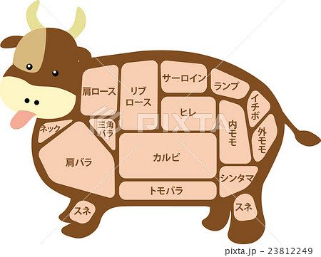 牛肉 肉 牛 部位のイラスト素材