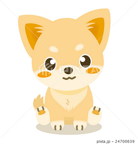 チワワ 犬 仔犬 首をかしげるのイラスト素材