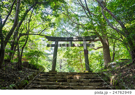 伊豆山神社 本宮 鳥居 石階段の写真素材