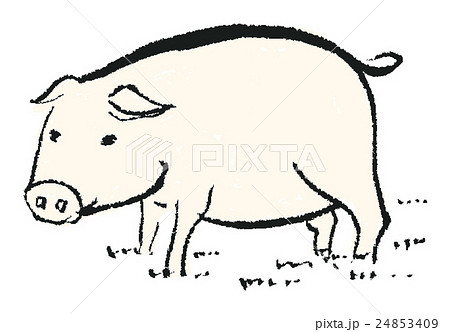 豚 手描き 水墨画 水彩画のイラスト素材