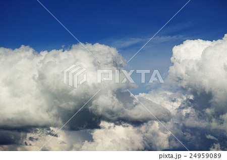 猪木の写真素材 Pixta