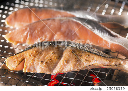 秋鮭の写真素材