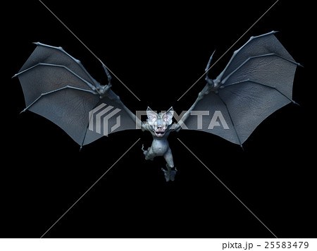 蝙蝠羽 飛鼠の写真素材