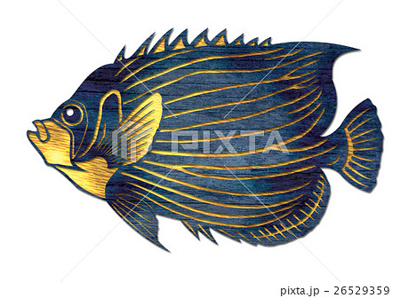 キンチャクダイ 熱帯魚 切り絵 魚イラストの写真素材