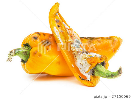 真菌 パプリカ ぱぷりか カビの写真素材