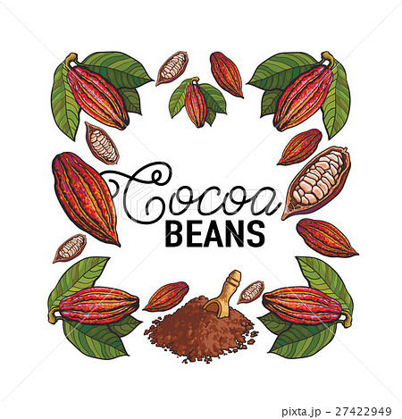 Square Frame Decoration Element Of Cacao Fruitのイラスト素材 27422949 Pixta