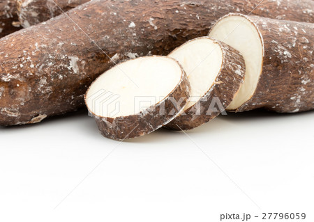 マニオクの写真素材