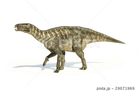 イグアノドンのイラスト素材 - PIXTA