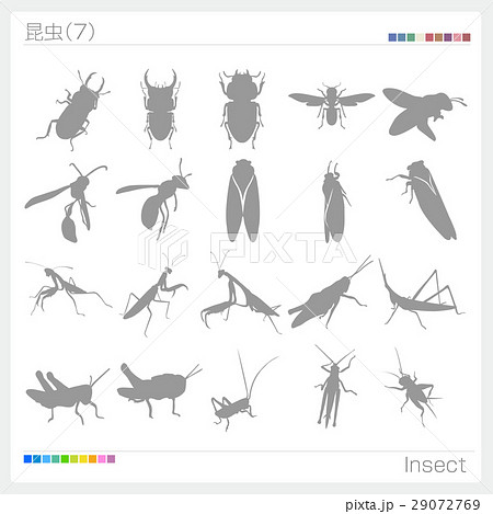 カマキリのイラスト素材集 ピクスタ