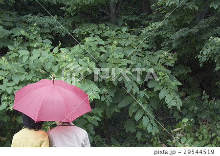 相合傘 2人 学生 恋人の写真素材