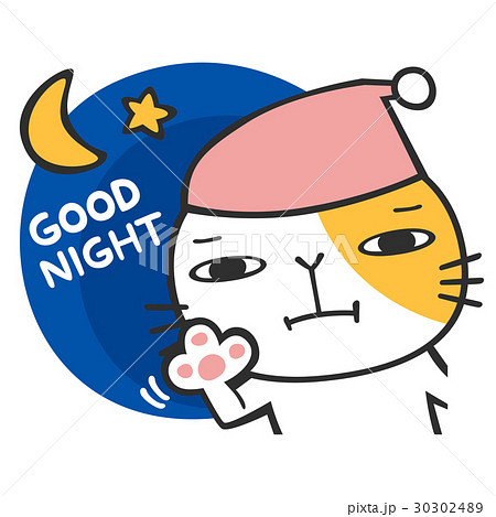 猫 おやすみ 寝る 夜空のイラスト素材