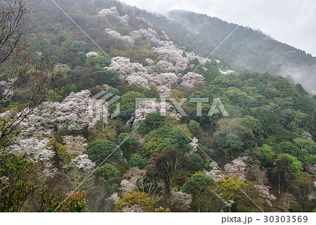 嵐山妙見堂の写真素材