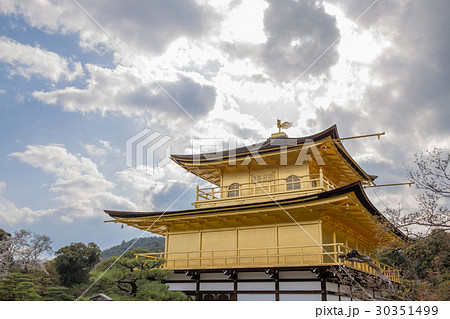 春の金閣寺の写真素材