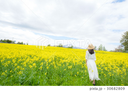 女の子 後姿 菜の花 麦わら帽子の写真素材