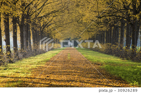風景　森の小道 森の小道(夕方) - 田舎編01 | 背景素材店みにくる