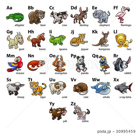 アルファベット 動物 組み合わせ 図表のイラスト素材