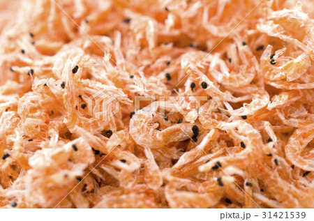 沖醤蝦の写真素材