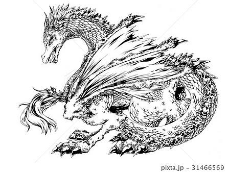 ドラゴン 竜 龍 幻獣のイラスト素材
