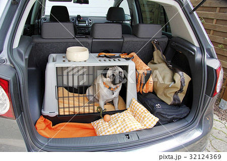 四輪車 自動車 ケージ 犬の写真素材