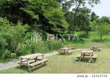 神戸布引ハーブ園 布引ハーブ園 風の丘芝生広場 兵庫県の写真素材 Pixta