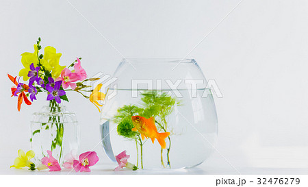 金魚 金魚鉢 フラワーアレンジメント 生花の写真素材