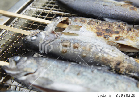 魚 川魚 串刺し 塩焼きの写真素材