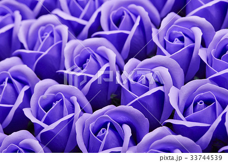 バラ 薔薇 紫 造花の写真素材