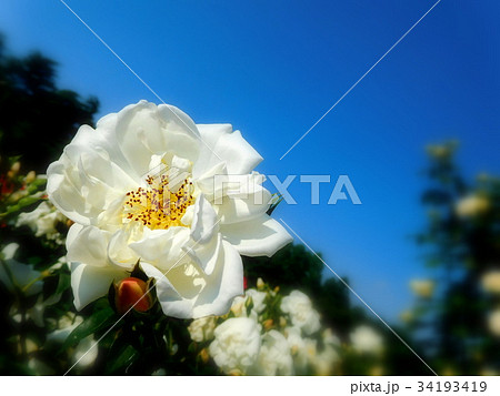 シティ オブ ヨークの写真素材